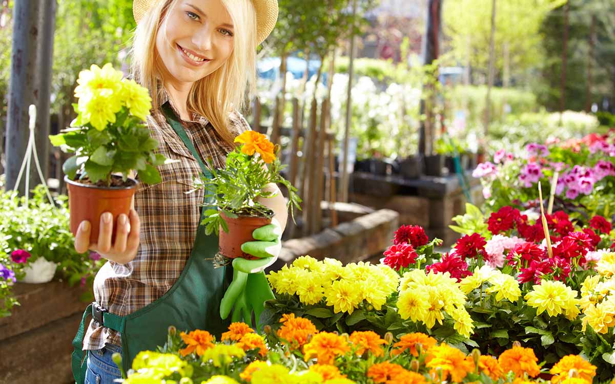 Gartenfachmarkt - alles was das Gärtnerherz höher schlagen lässt.