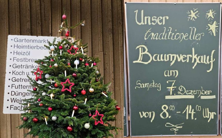 Weihnachtsbaumverkauf Lagerhaus Geier am 07.12.2024