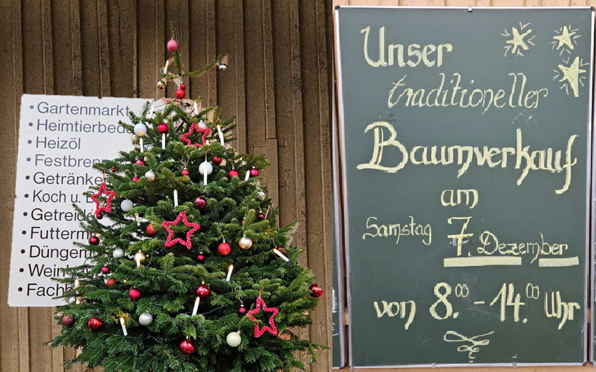 Weihnachtsbaumverkauf Lagerhaus Geier am 07.12.2024