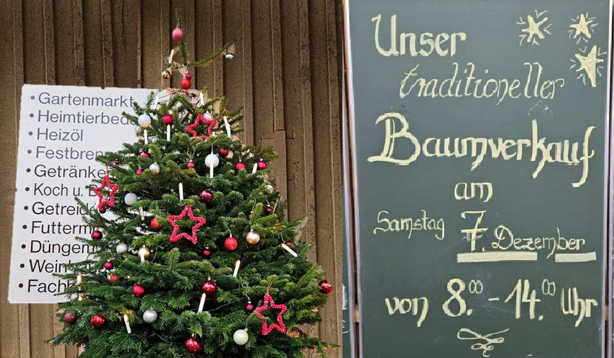 Weihnachtsbaumverkauf Lagerhaus Geier am 07.12.2024