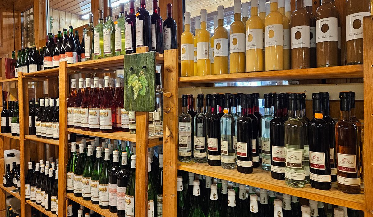 Weinregal im Lagerhaus Geier mit regionalen Weinen.